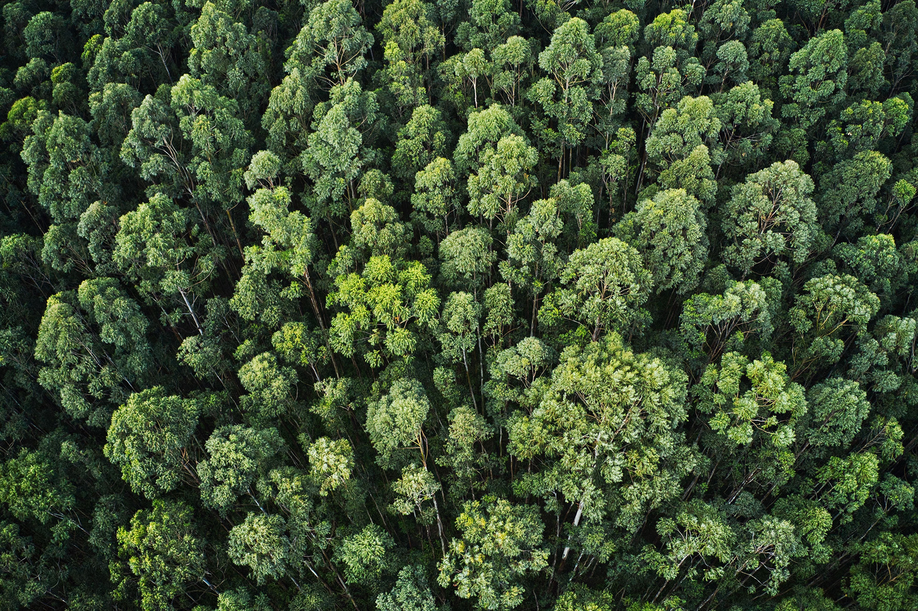 recypur-la-nica-materia-prima-circular-que-da-un-respiro-al-planeta